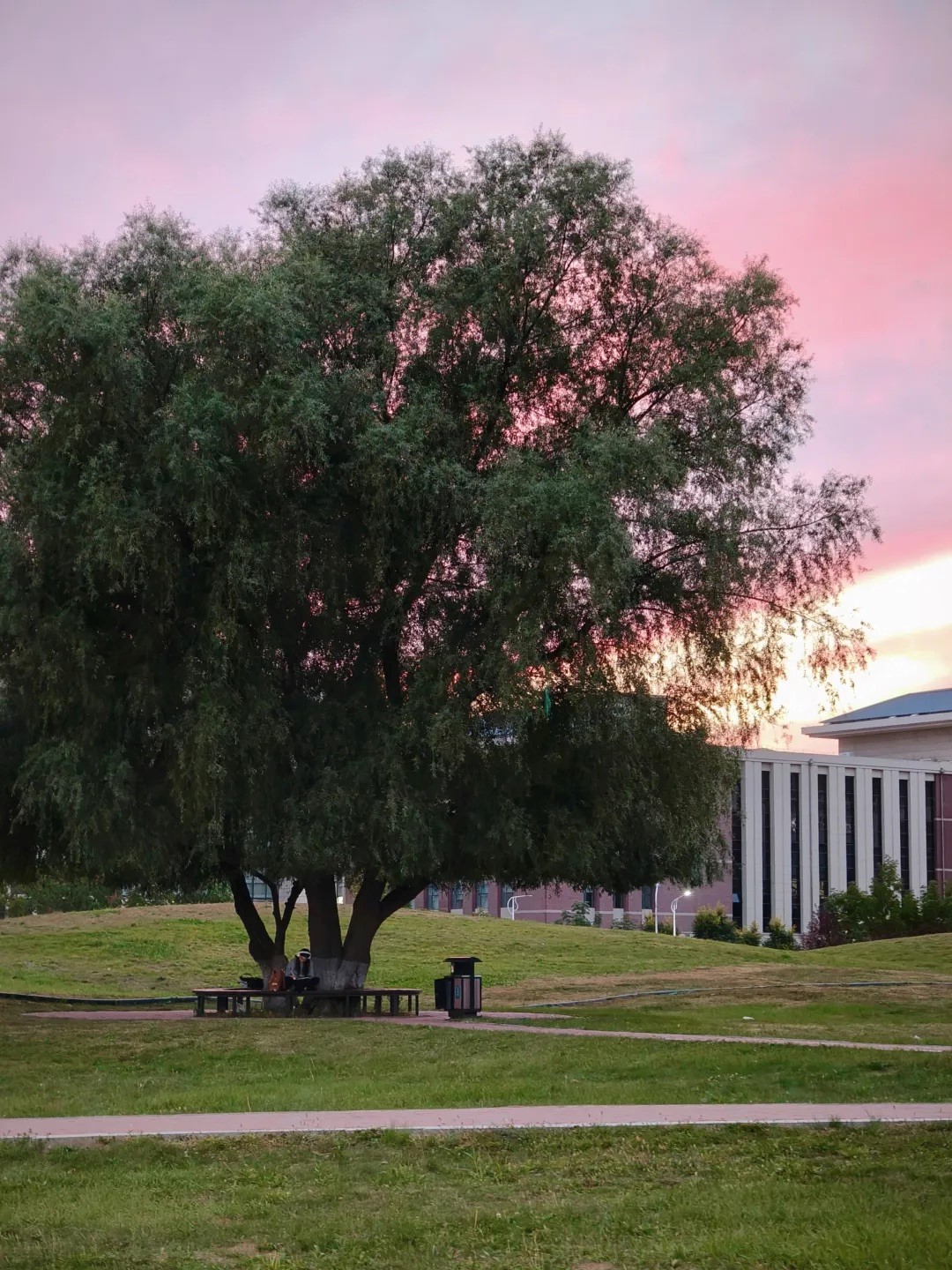 2025年“朋辈协力·心理成长”系列活动——色色视频
研究生成功开展两院联动“光影寻静，破‘卷’而出”随手拍大赛